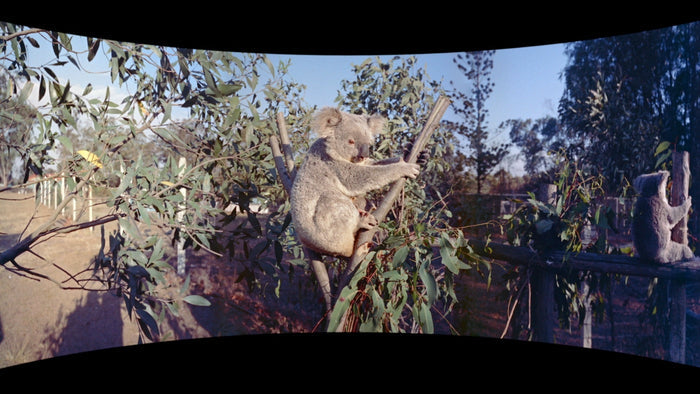 Cinerama's South Seas Adventure