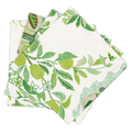 Citrus Garden Napkin - Set of 4
