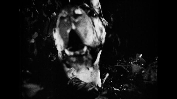 Der Hund von Baskerville