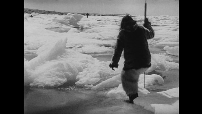 Nanook of the North/The Wedding of Palo (and other Films of Arctic Life)