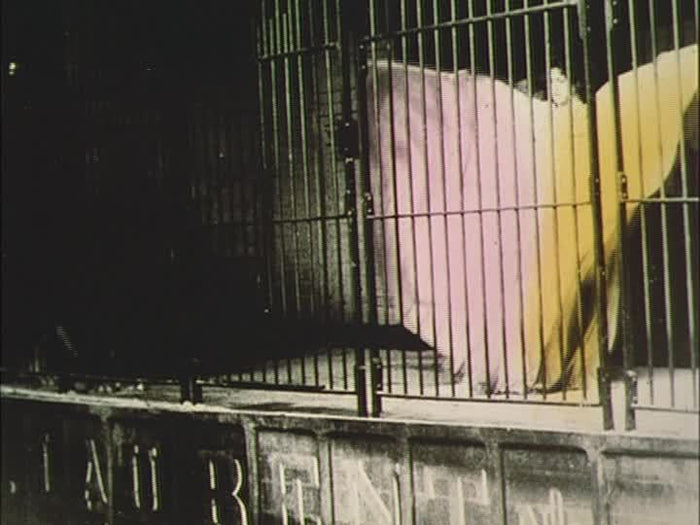 Saved From the Flames: 54 Rare and Restored Films (1896-1944)